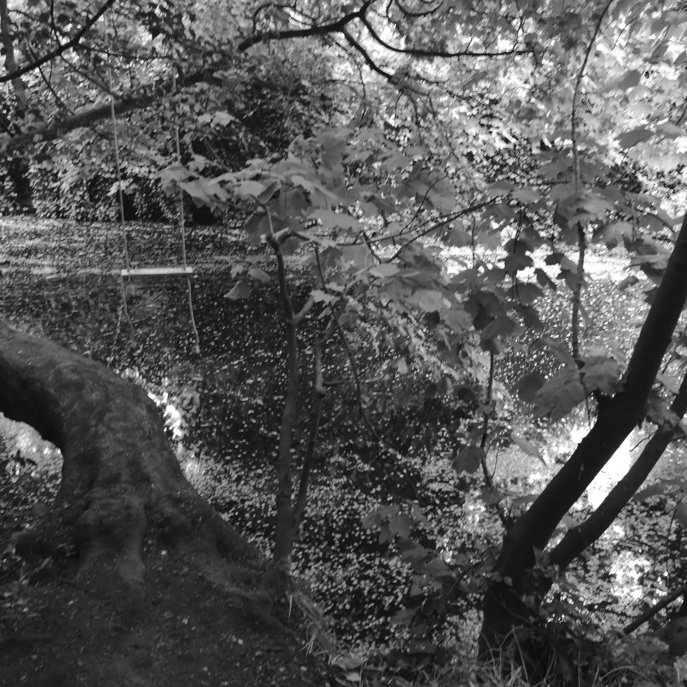 _DSF9195.JPG
