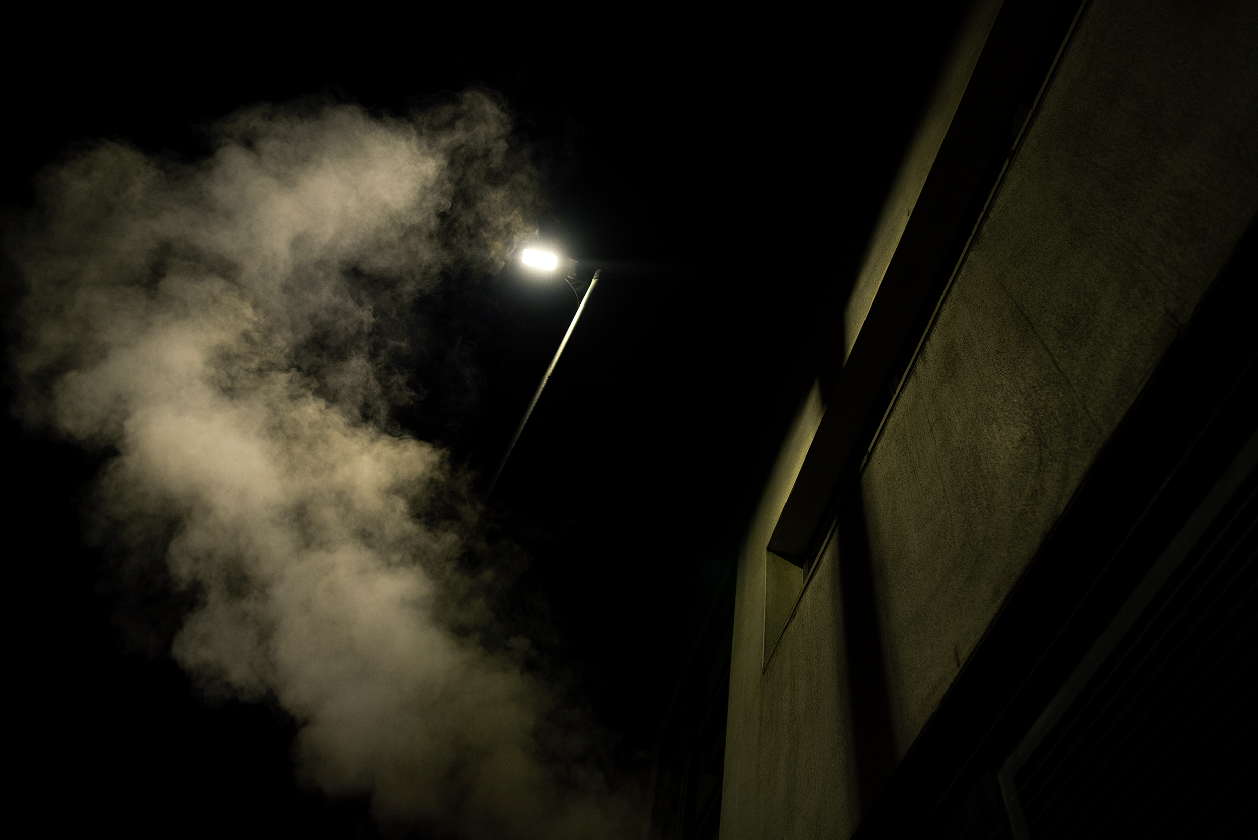 DSC_3487.jpg