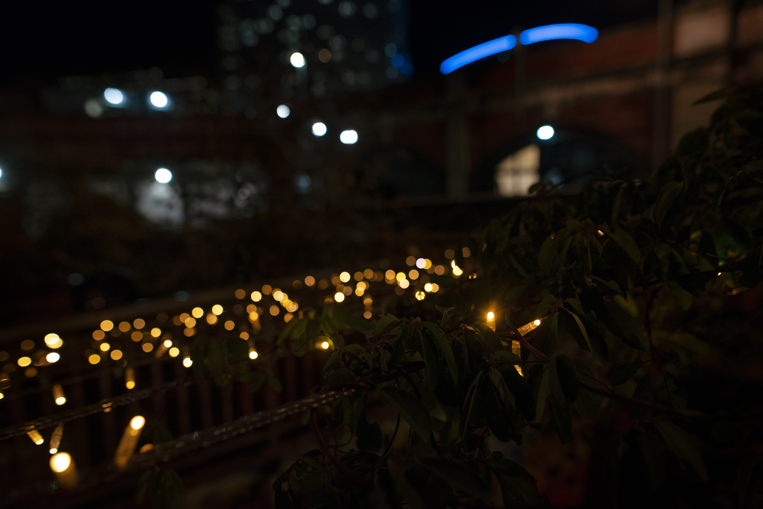 DSC_3505.jpg