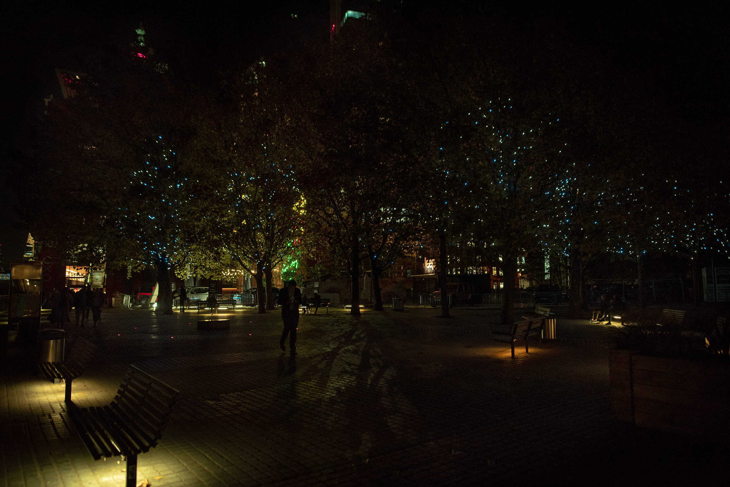 DSC_3740.jpg