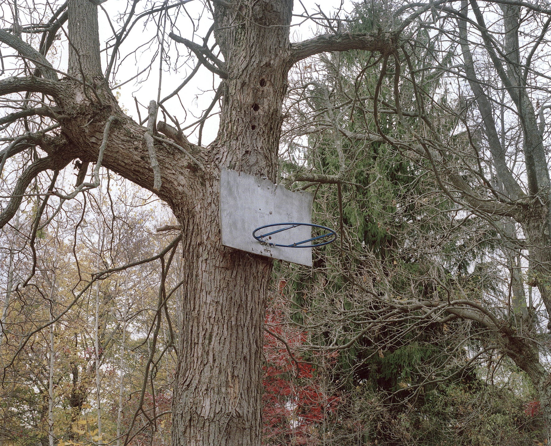 Centralia - 2.jpeg