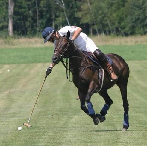 Having spent years working for top Hunter/Jumper professionals on the 'A' circuit, Brendan is now an avid polo player. 
