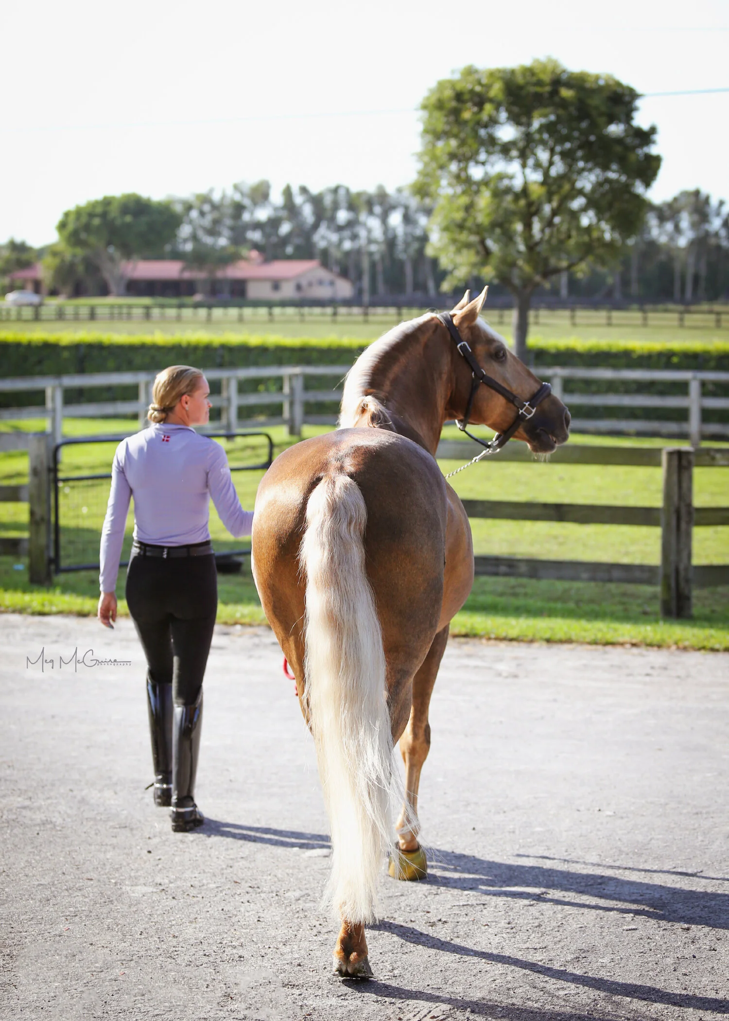 Photo Credit Meg McGuire Photography