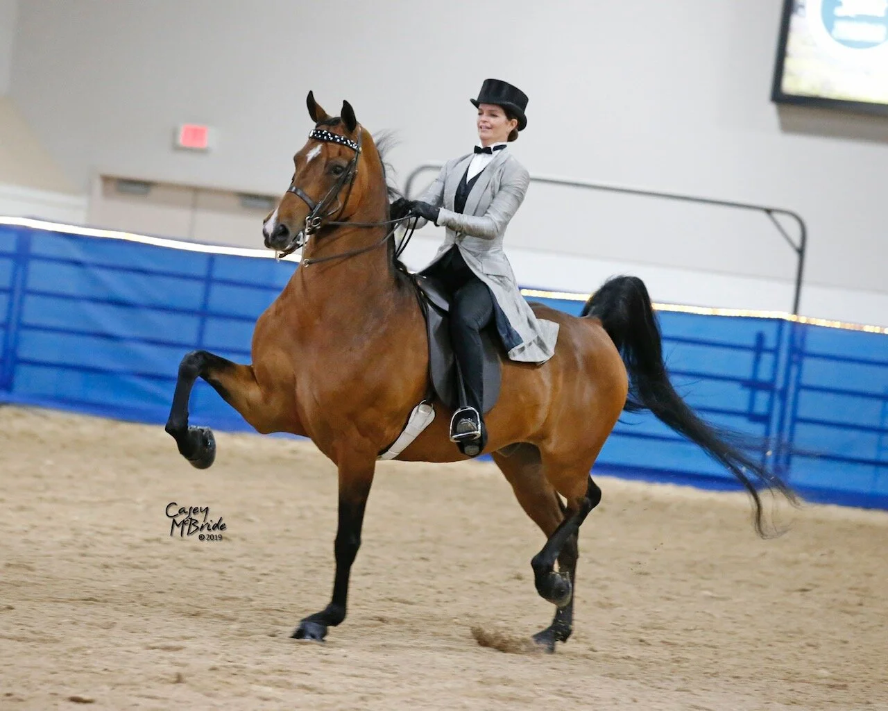 Merin Grey Coat.jpeg