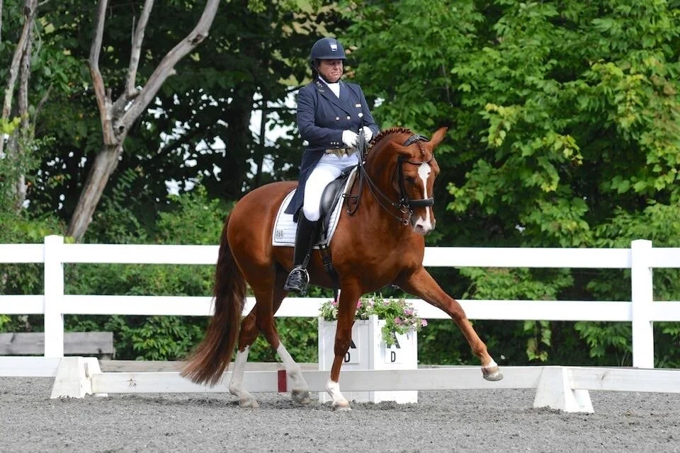 Ruth Hogan-Poulsen of Poulsen Dressage, LLC