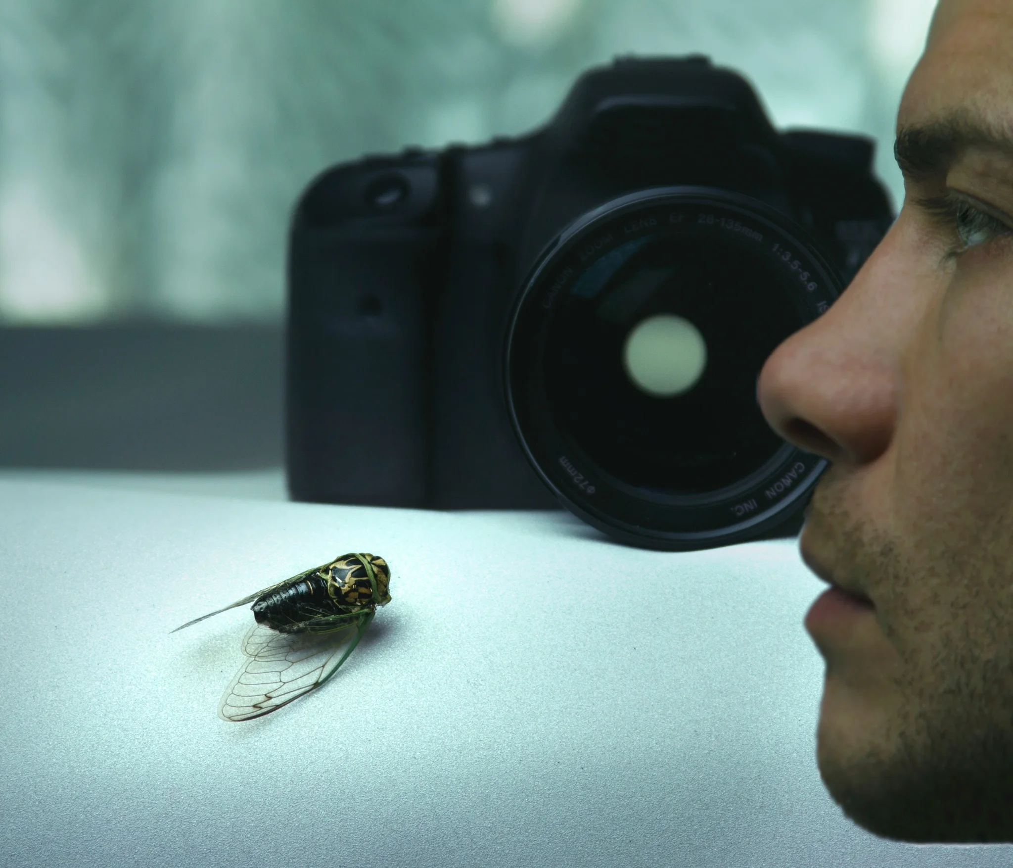 bug_camera.jpg