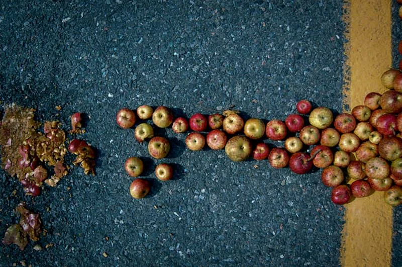 4 Things Andy Goldsworthy Taught Me About Creativity