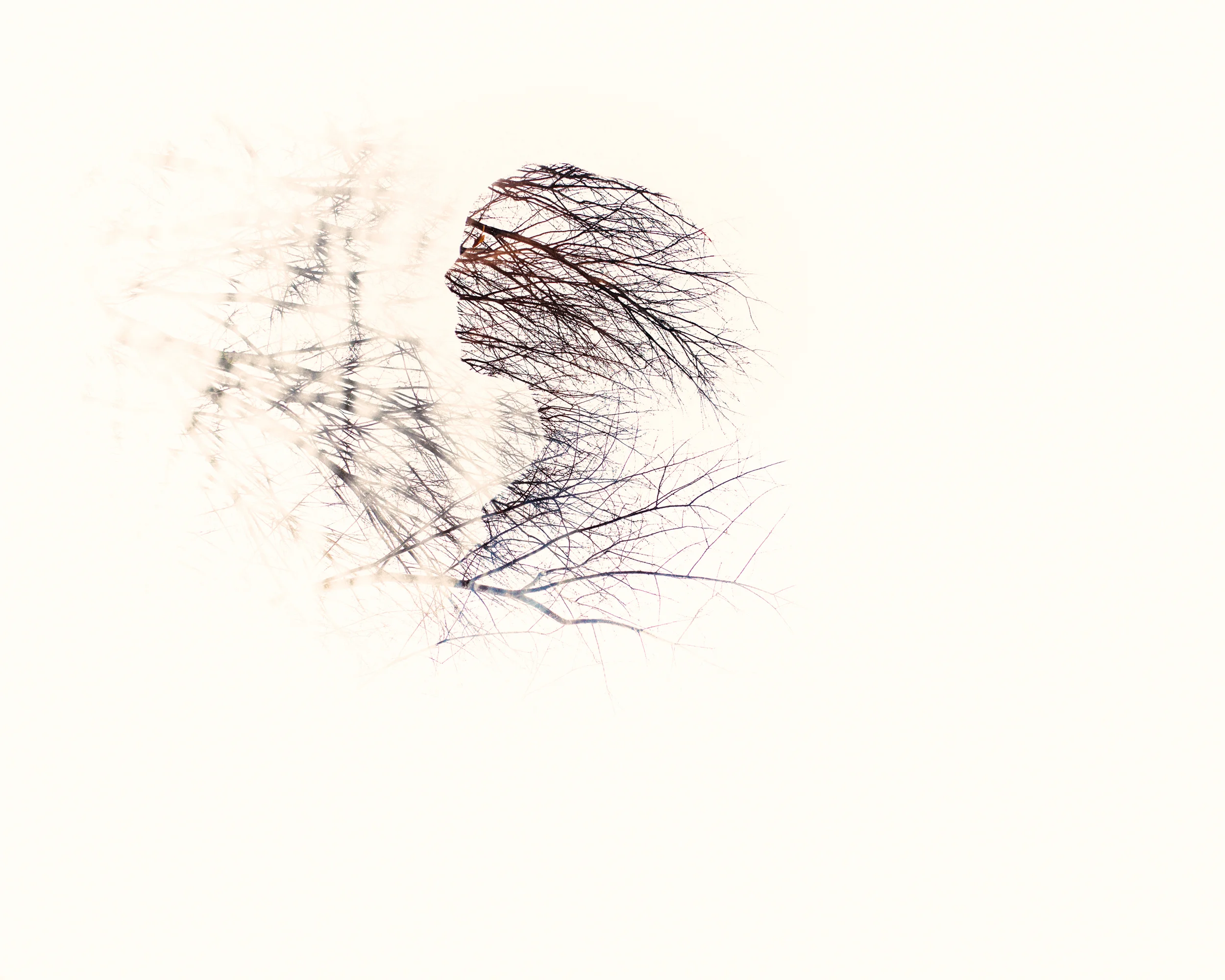 untitled-417-Edit.jpg
