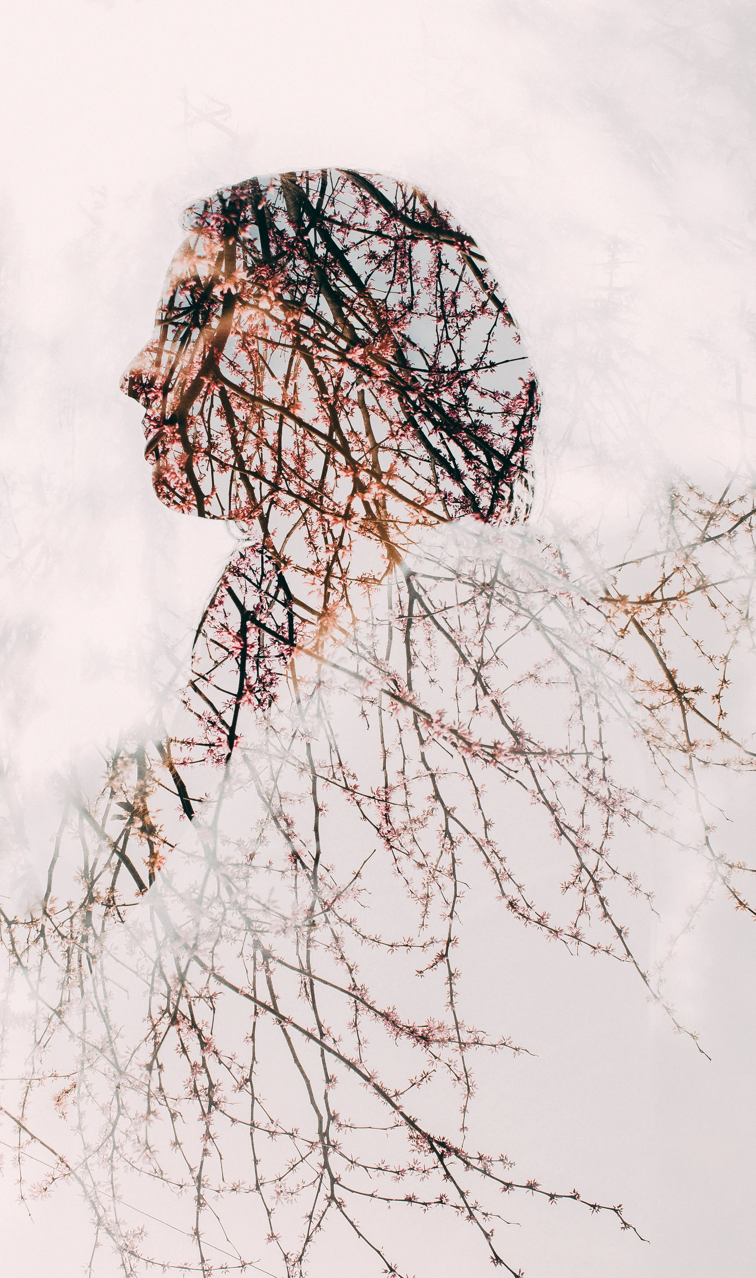 design-aglow-double-exposure-4.jpg