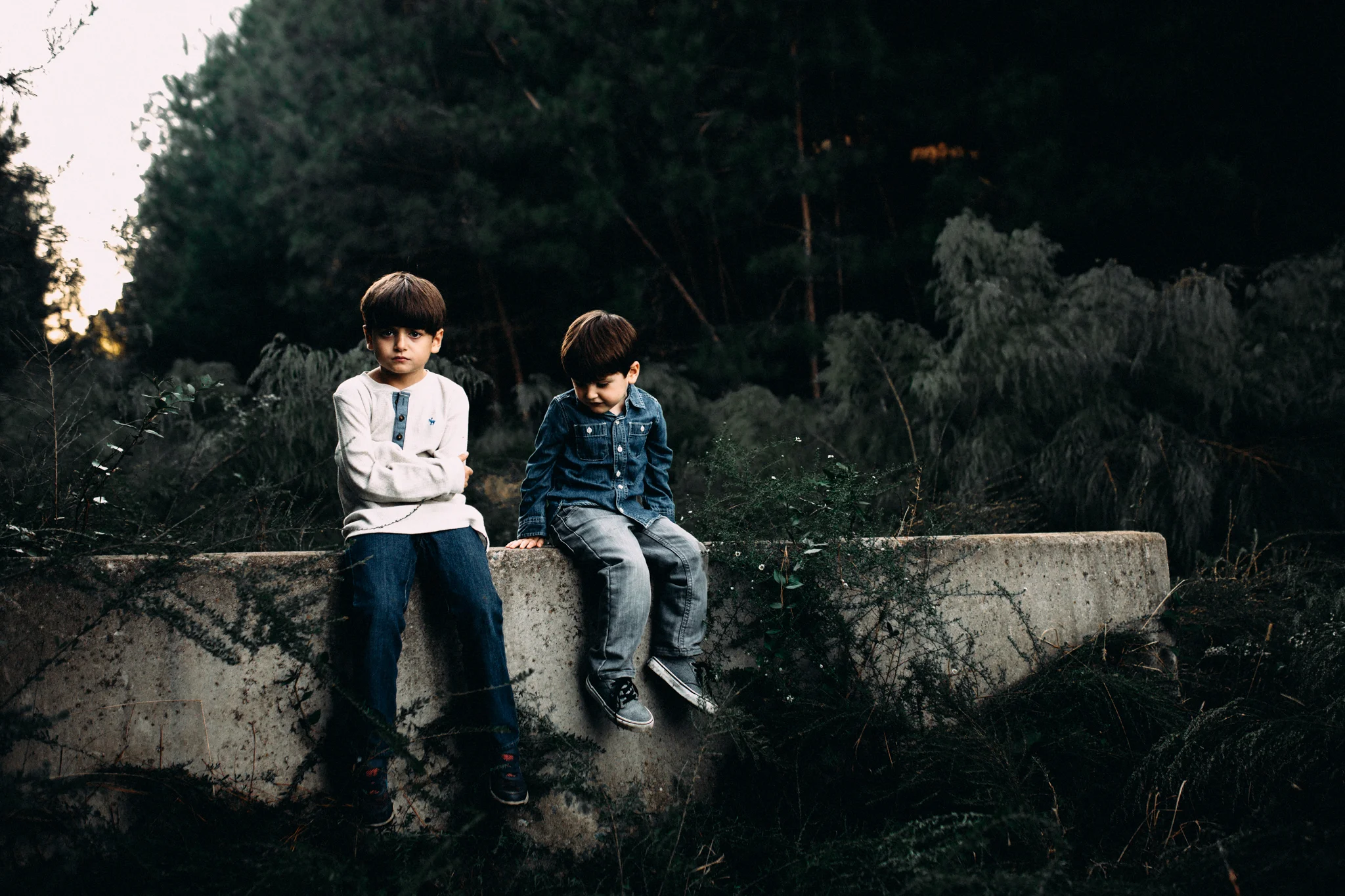 carlyle-family-9.jpg