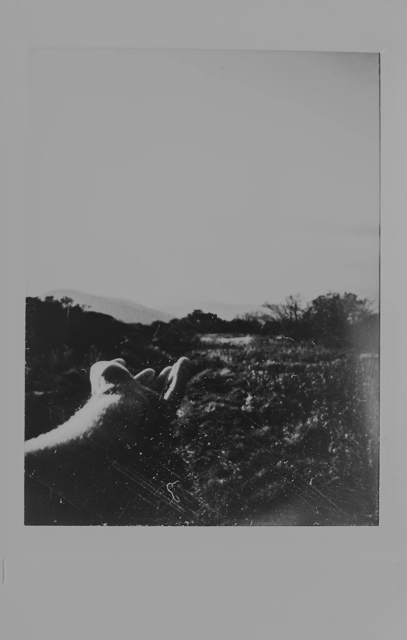 306A0002.jpg