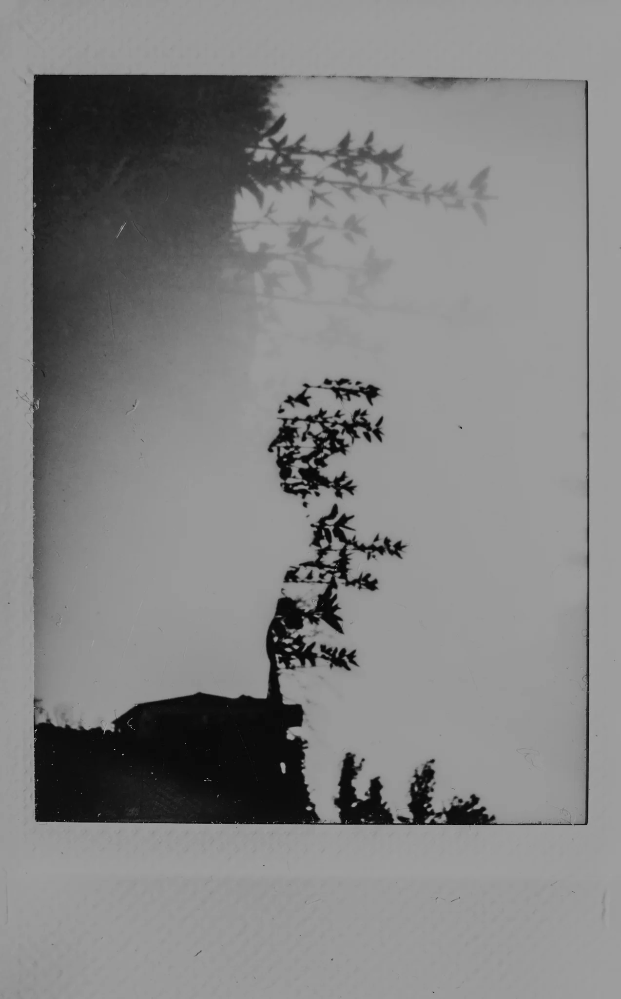 306A0028.jpg