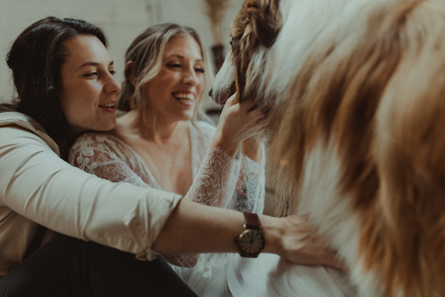 Cute gay couple with dog