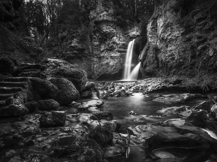 Tine de Conflens