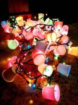viralnova.com Lighted garland