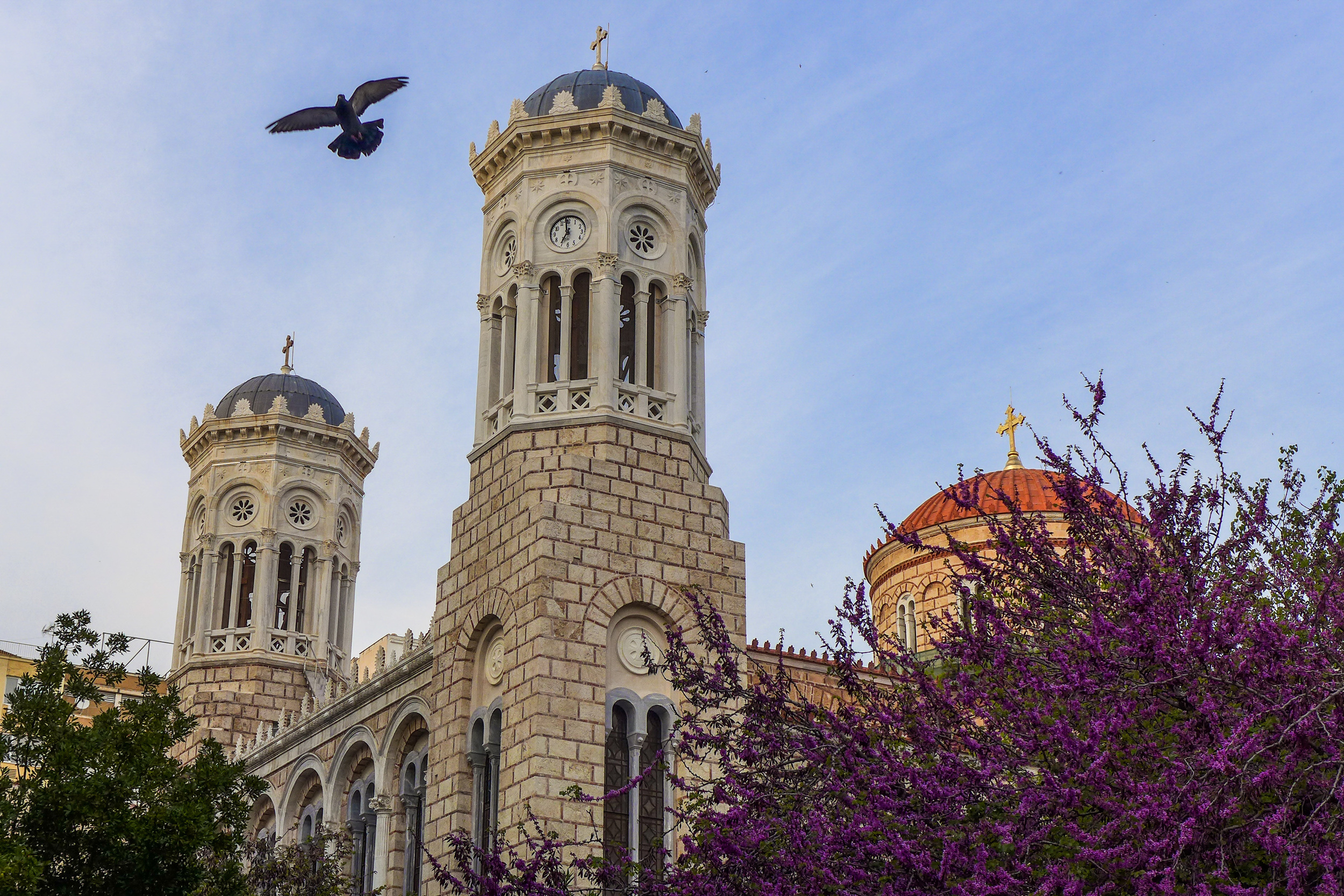 Sarah whipped out the camera and caught this pigeon mid-flight in front of a church on our walk to dinner.
