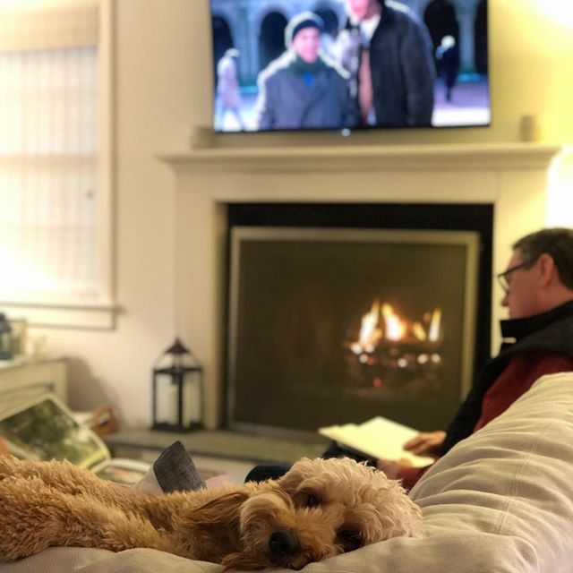 Successful Christmas. Home Alone 2, fire, Dad enjoying his new book and George snoozing (plus, not pictured, amazing cooking from @skadetzfoster and a very happy @janet.w.foster ). Happy holidays all!