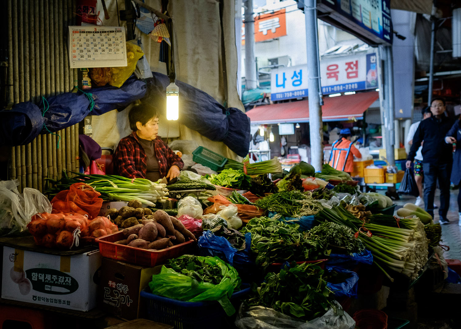 Fujifilm X-T1 | XF 23 | f/2.8, 1/280, ISO 1600