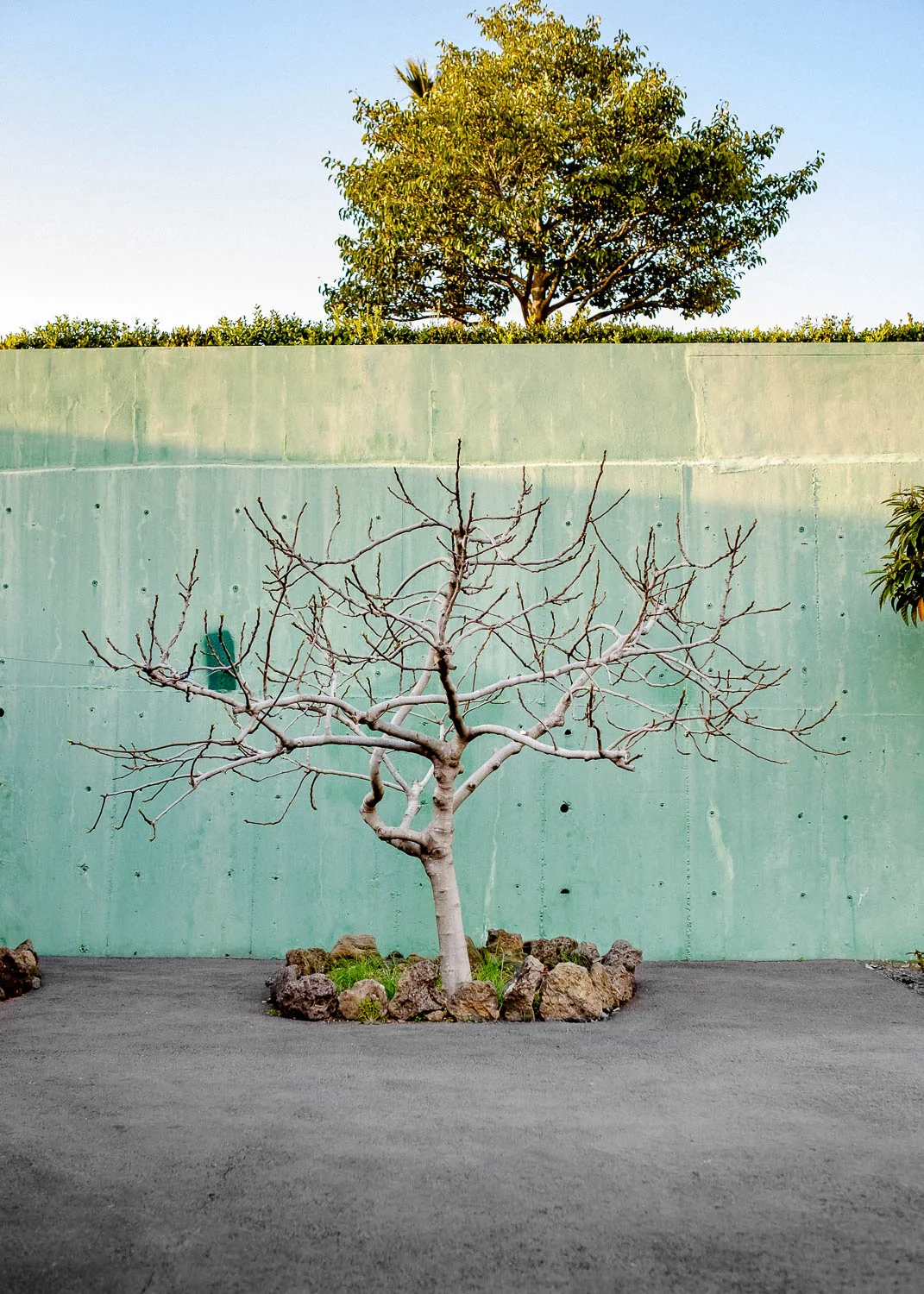 Blue Green-Green-Blue. Fujifilm X-T1 | XF 23/1.4. f/2.8, 1/140, ISO 400.