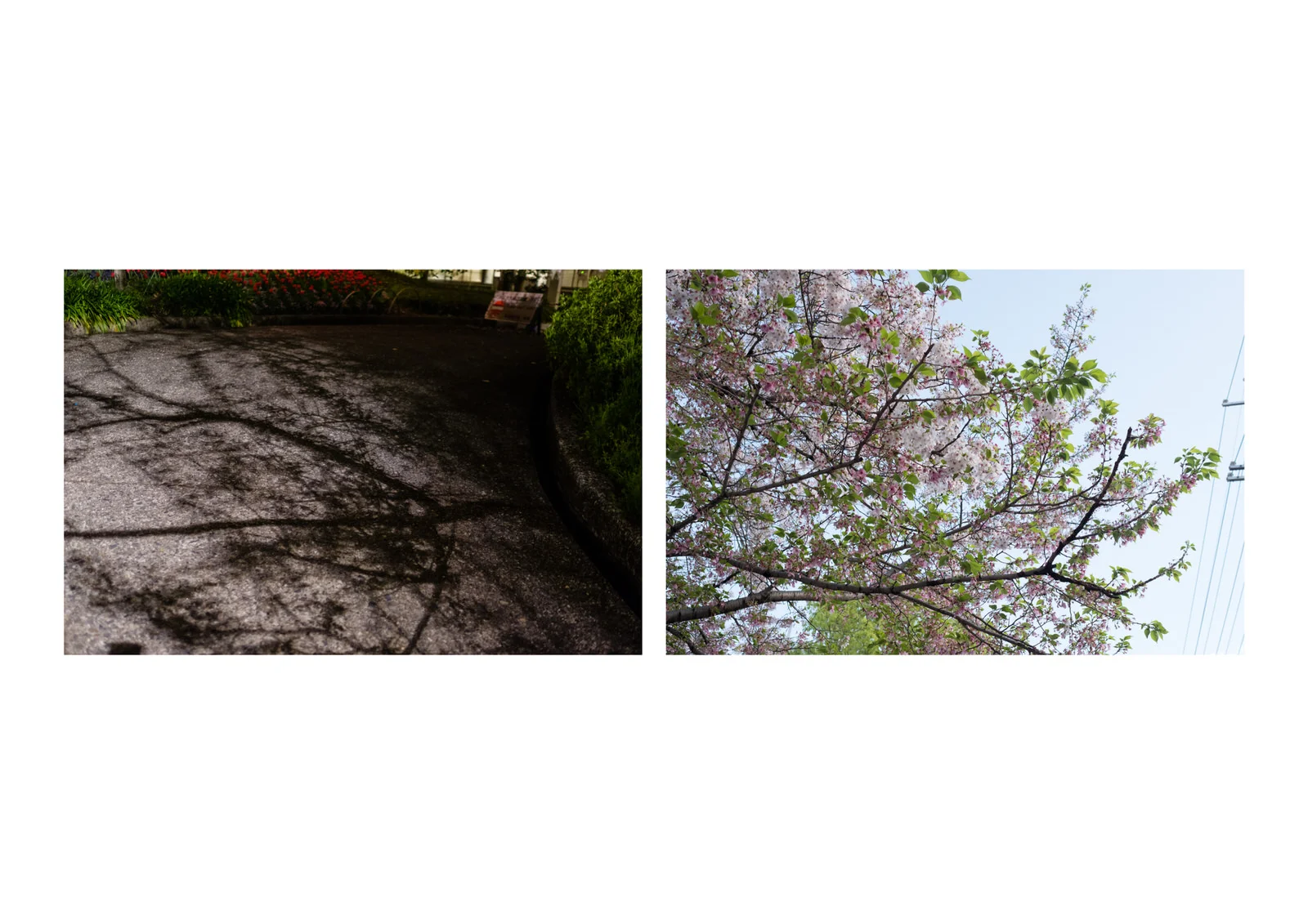 Diptych_09.jpg