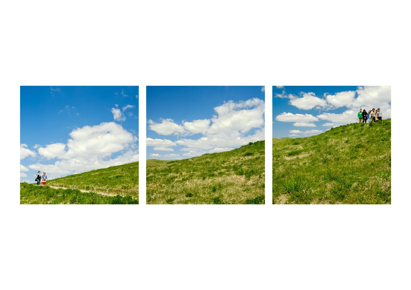 Triptych_03.jpg