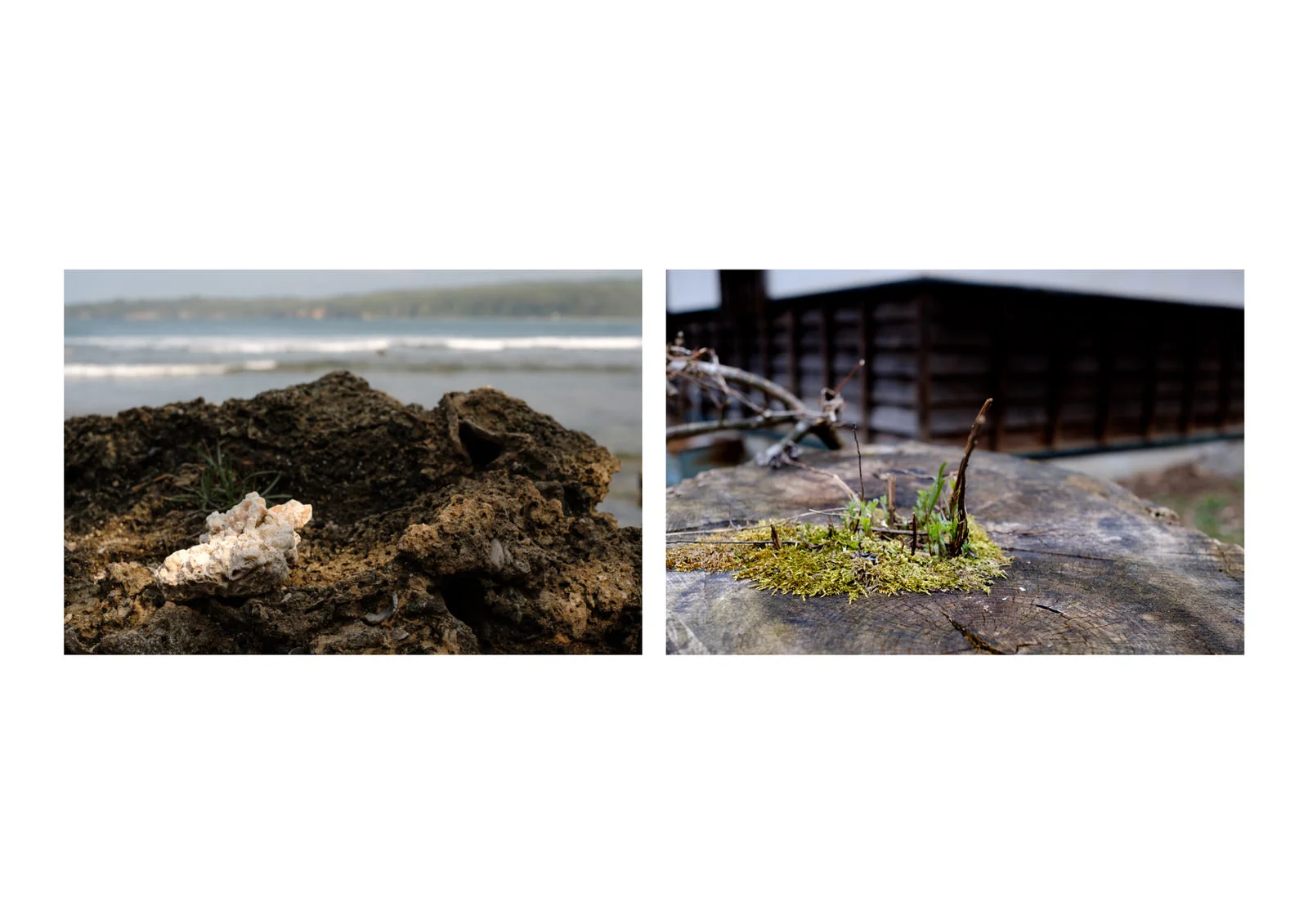 Diptych_28.jpg