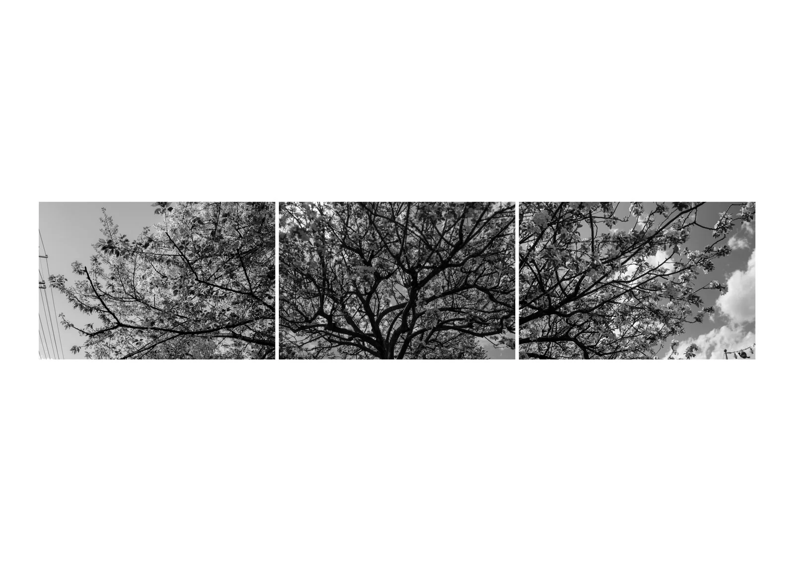 Triptych_06.jpg
