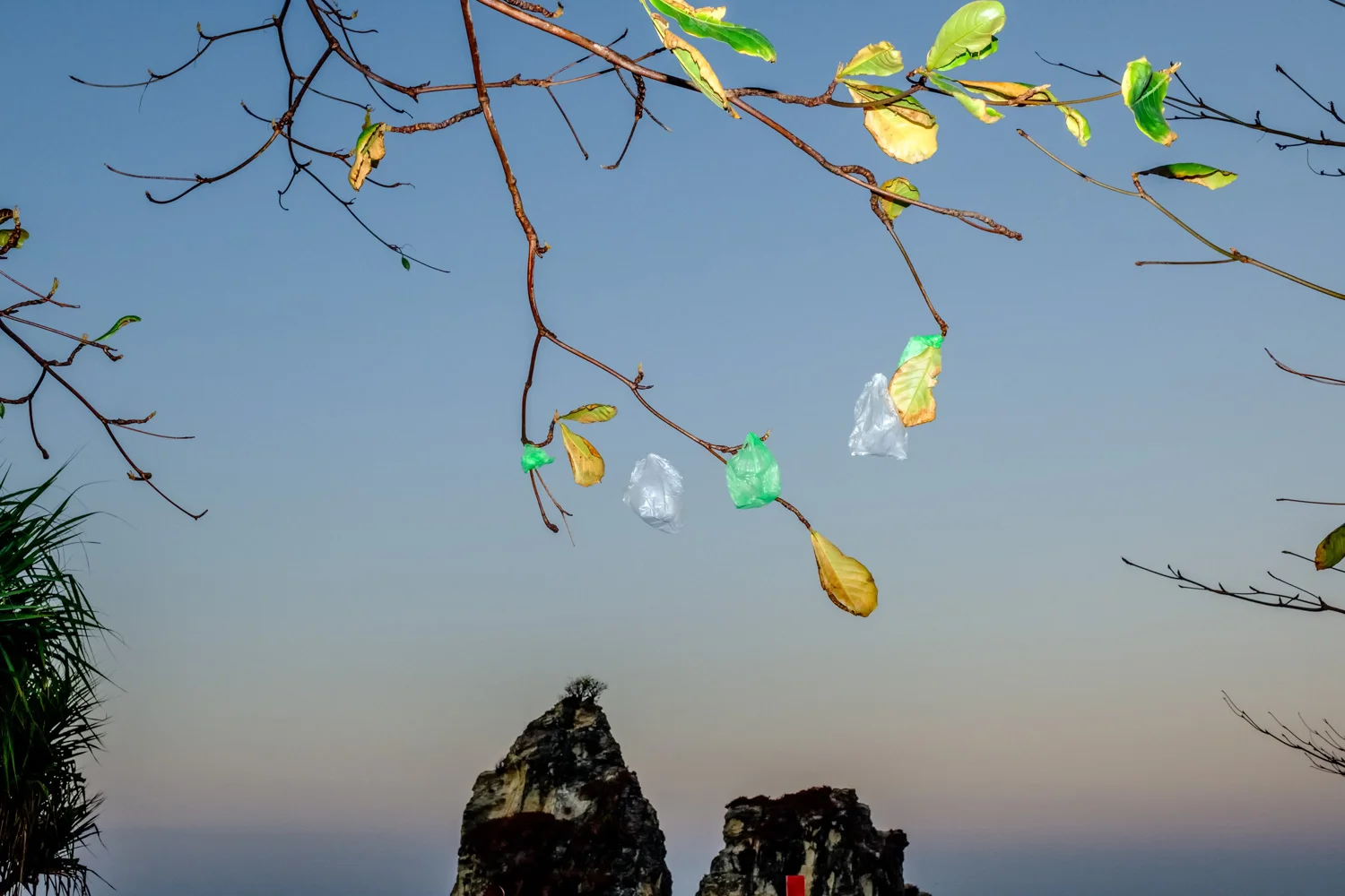 Plastik ini banyak tergantung di pohon-pohon sekitar Sawarna. Saya lupa menanyakan makna dari plastik-plastik ini ke masyarakat setempat. Fujifilm X-T2 | XF 23 f/1.4 | Godox Flash & Transmitter