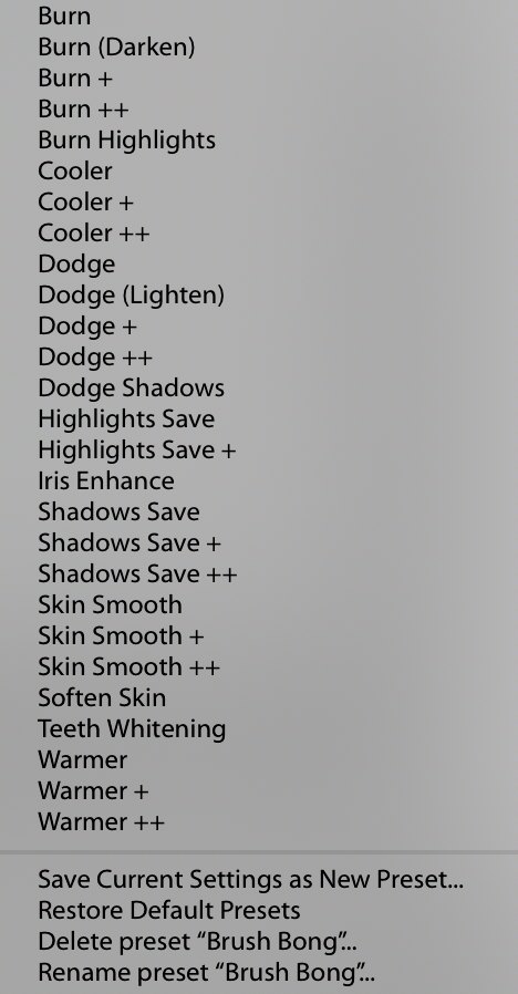 Contoh preset-preset brush yang sudah disediakan oleh Lighroom.