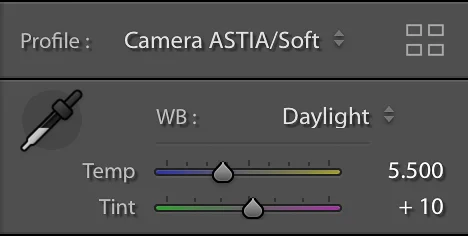 Sebelum mengaktifkan Auto, tetapkan dulu profile dan white balance, karena beda profile & white balance akan menghasilkan setting Auto yang berbeda.