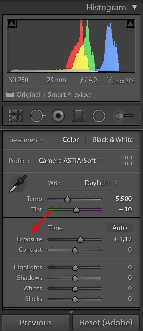 Dengan menekan SHIFT + Double Click pada tulisan Exposure akan setting otomatis hanya untuk exposure.