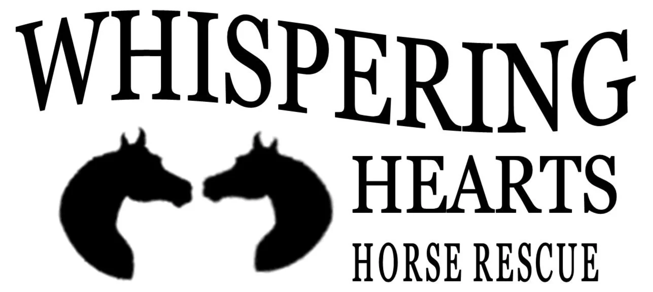 Day 2 On the second day of giving, my law firm gave to me, hope for the horses. (click for info)