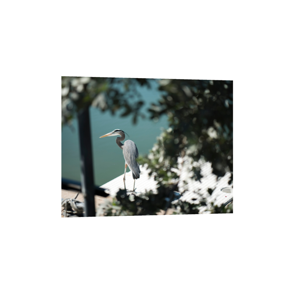 fineartprints_rectangle4_5_630_0_2980_2384_0_false_ffffff_0_0.png