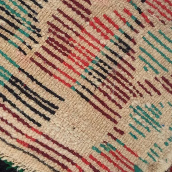 CA10009 d.JPG
