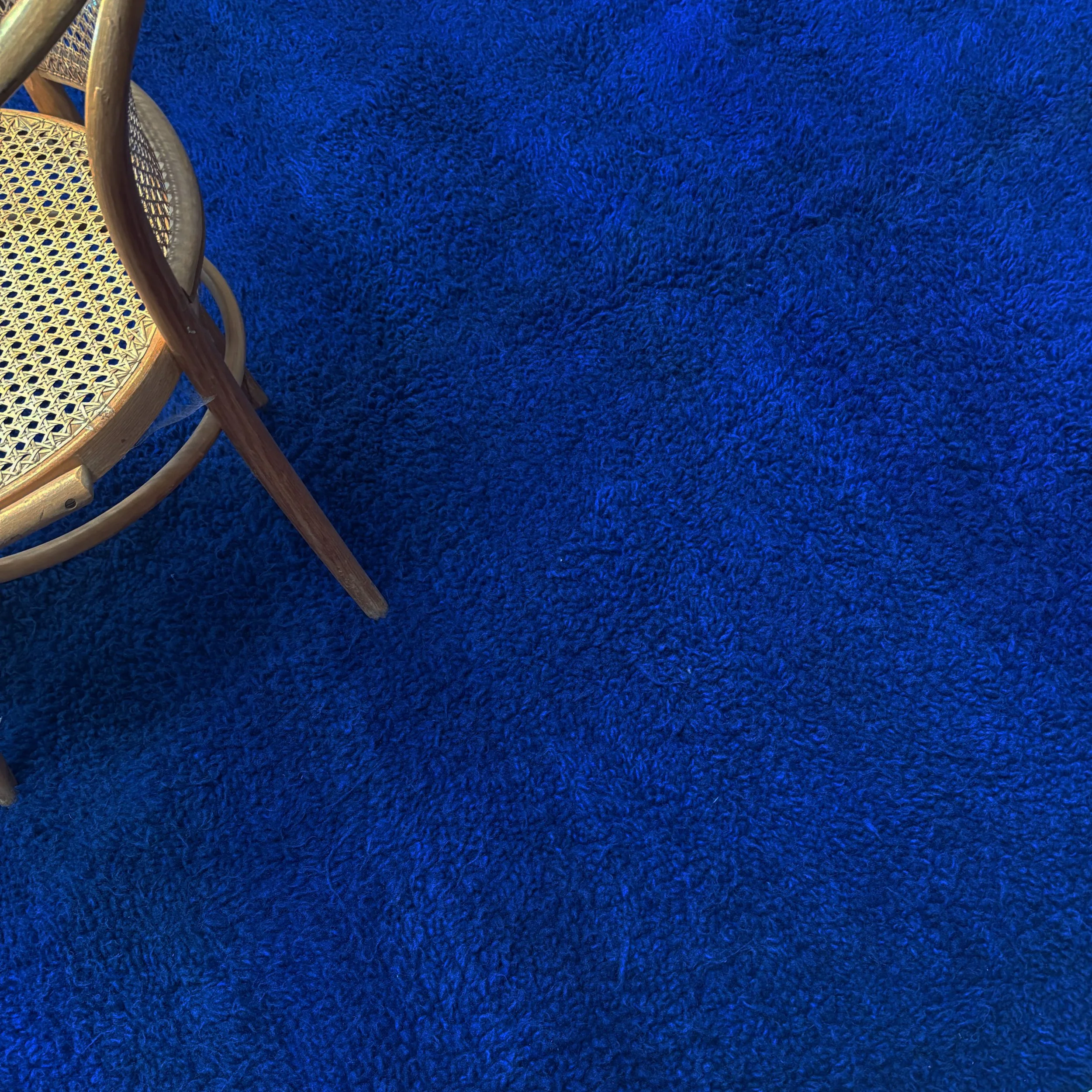 blue01 c.jpg