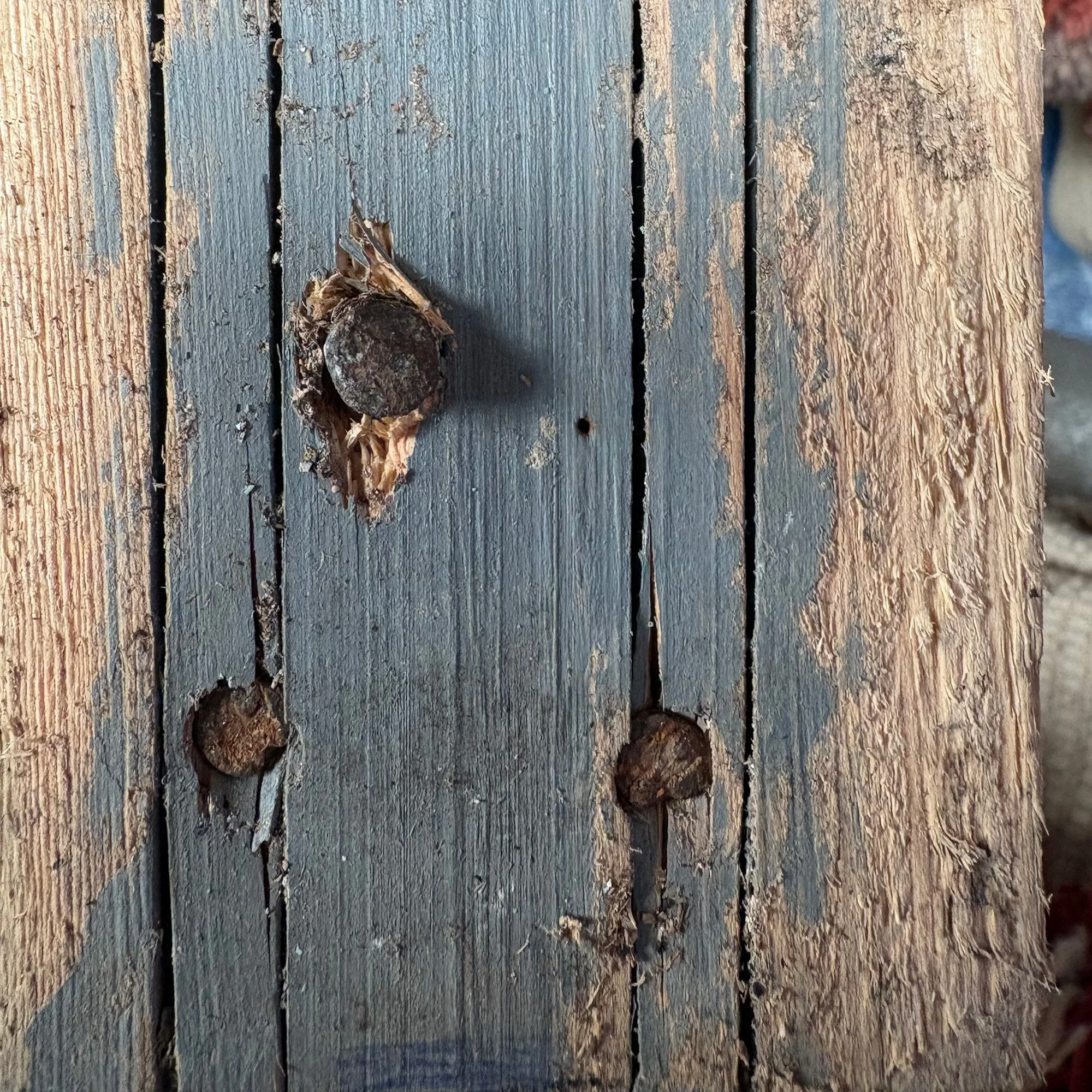 door d v.jpg