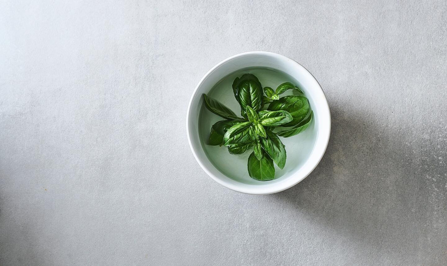 Basilikumanzuchtbecken.
.
.
.
#basil #basilikum #green#herbs#rezeptef&uuml;rjedentag #kochbuchliebe #kochbuchverlag #healthyfood #italianfood #foodblogger #foodie #kr&auml;uterkunde #foodphotography #stilllifephotography #daylight #pur #lovemyjob #ca