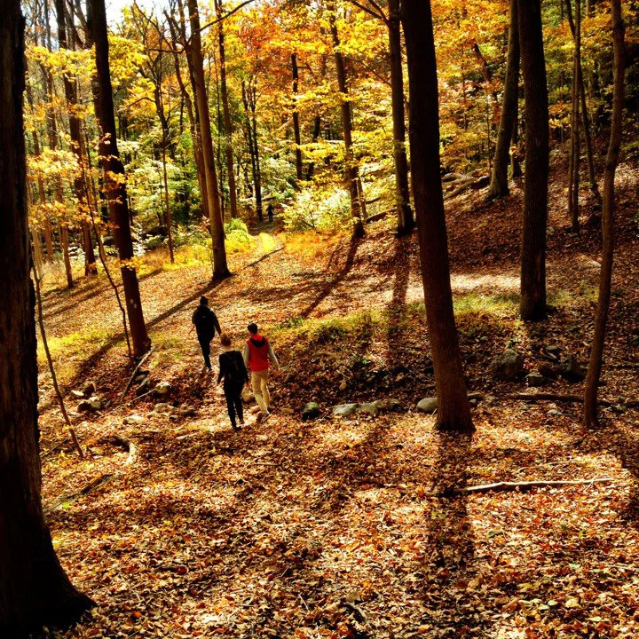 The woods are big. Who knew?