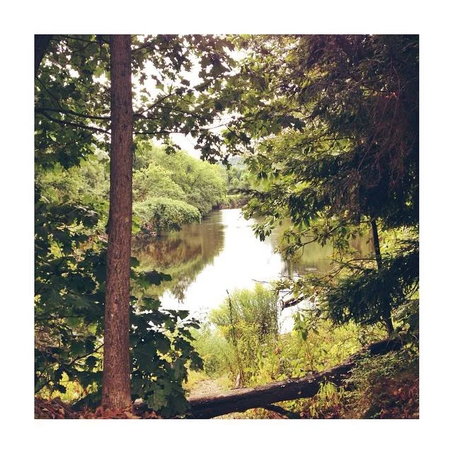 Look! Nature!