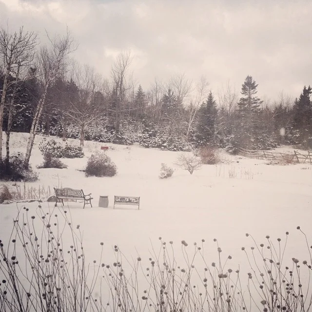 1601203_640477361880_297424481_n.jpeg