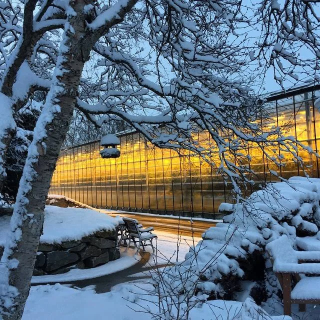 This beacon of light during the harsh Icelandic winter is actually a greenhouse!