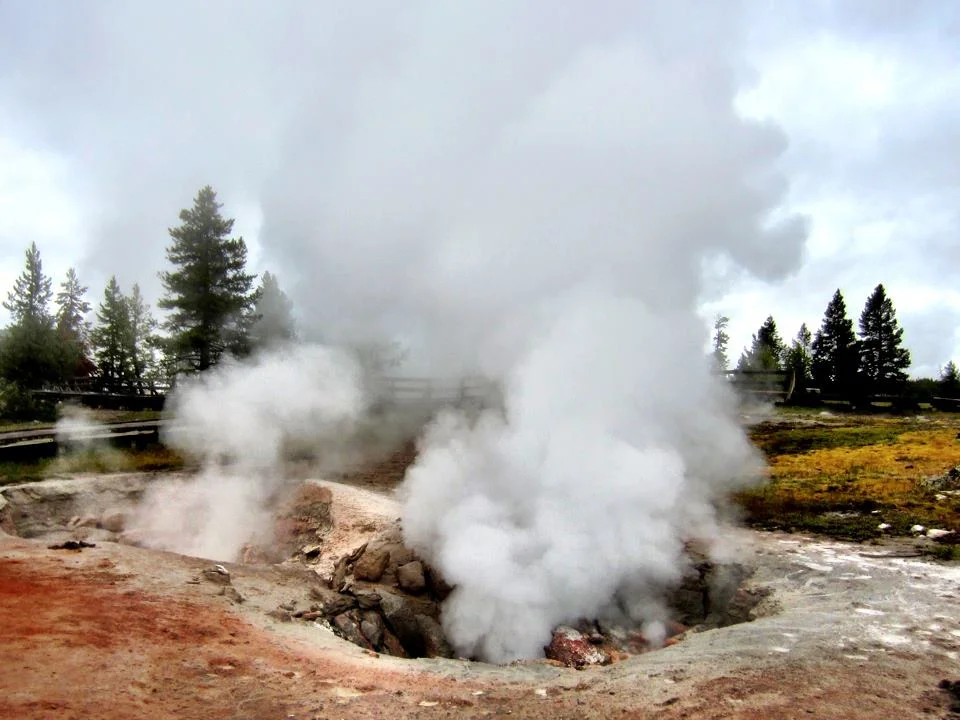 Jen's photos from Wyoming make me alllllmost want to go. But not really.