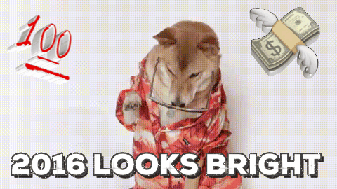 giphy (1).gif
