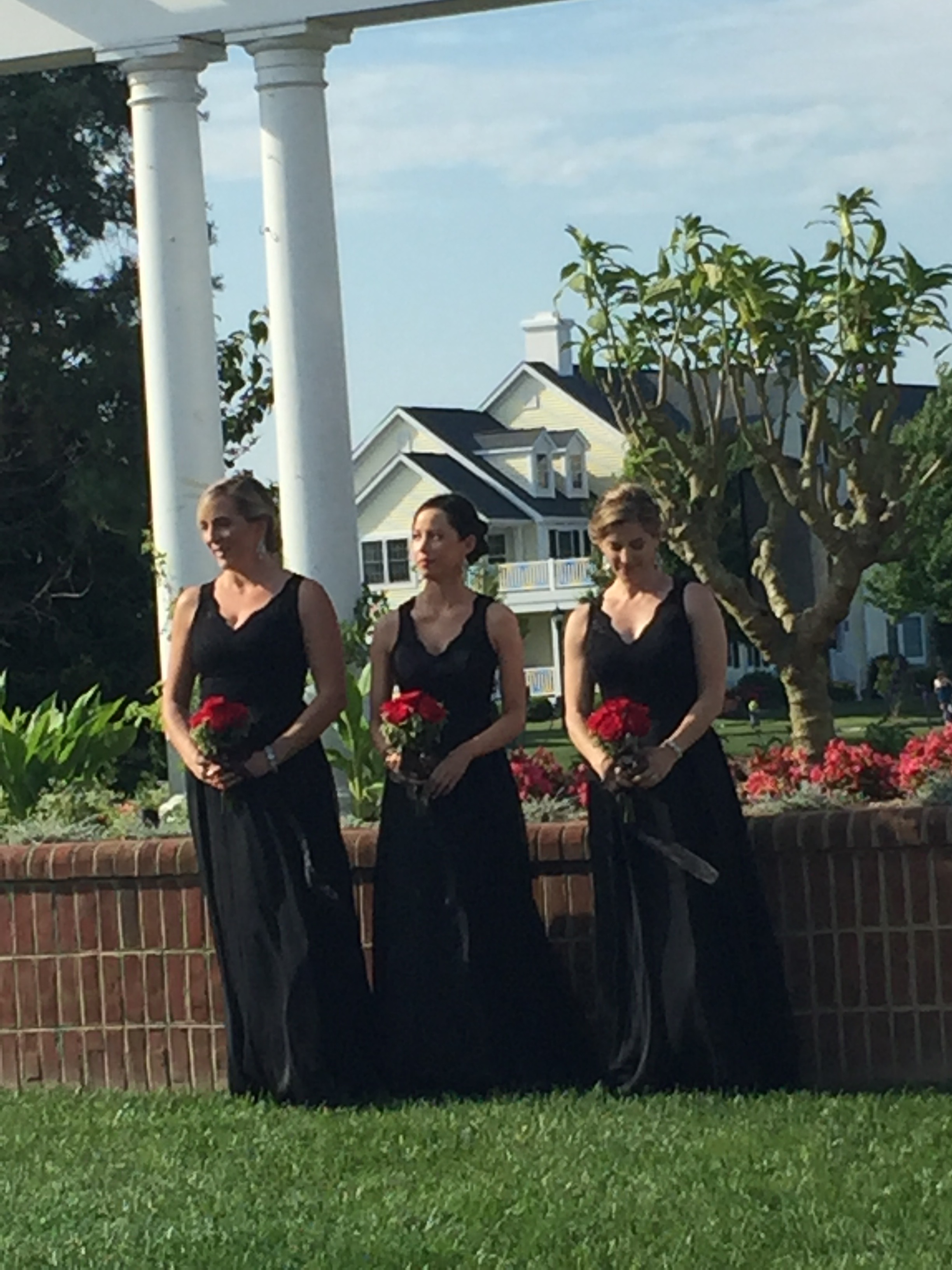 IMG_7223.jpg