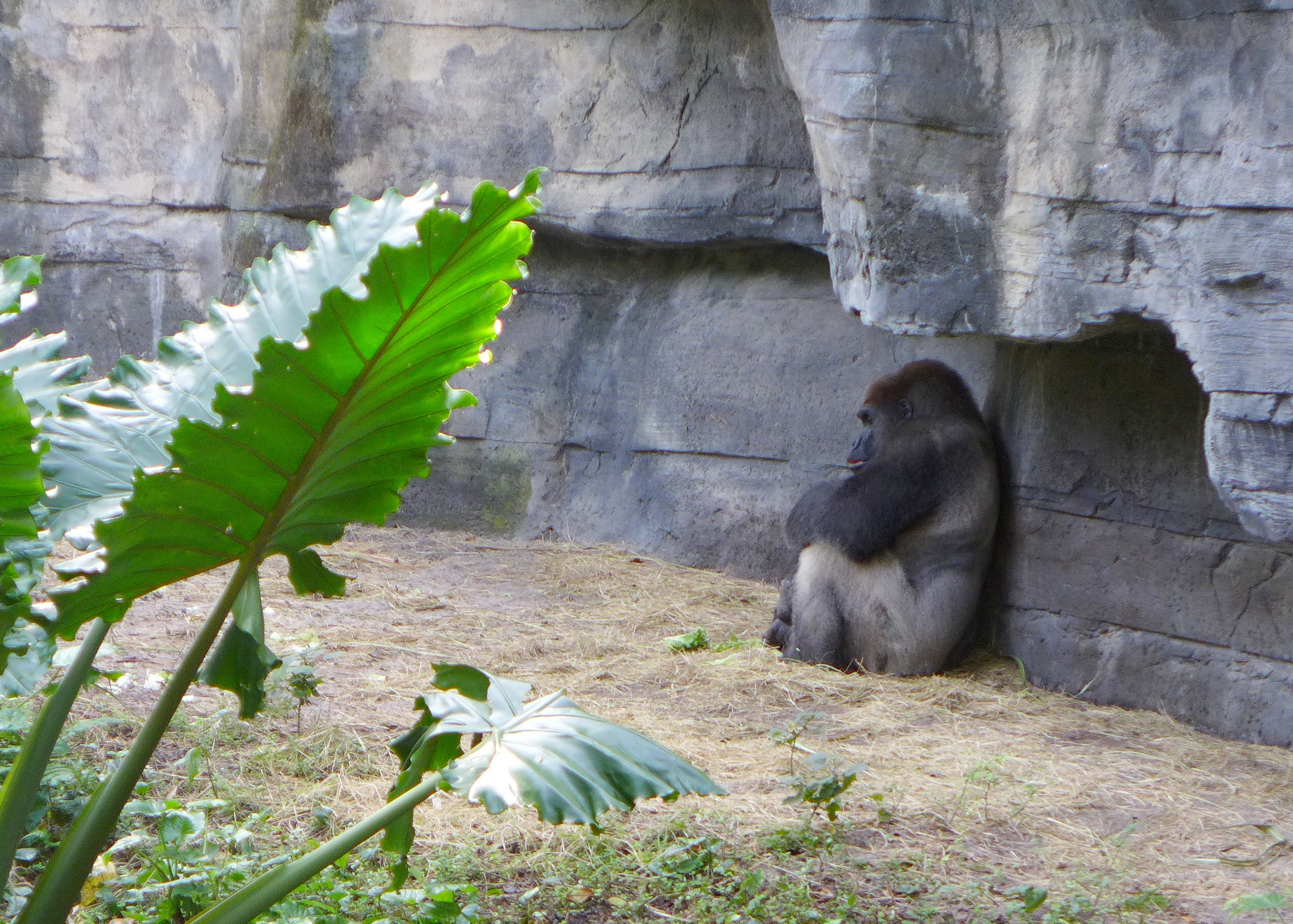 P1010292.jpg