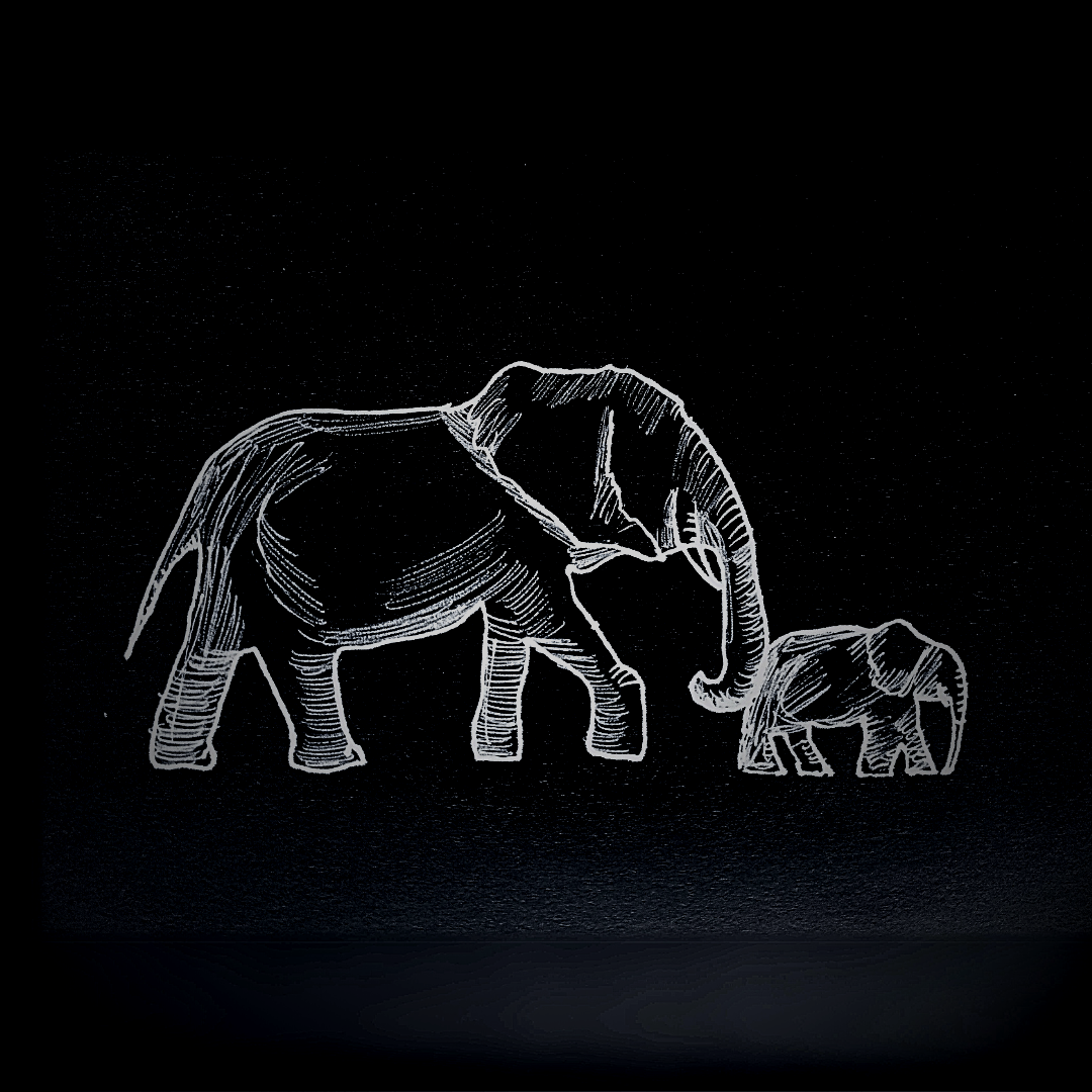 Comms and Behaviour Consultant