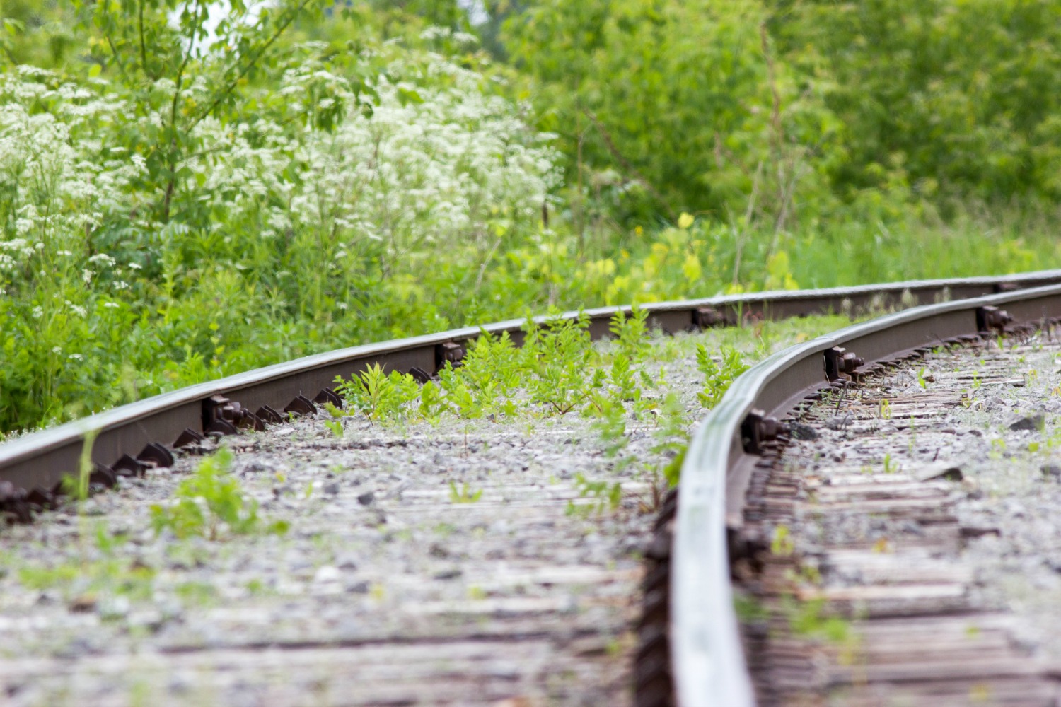 Going Down the Rail