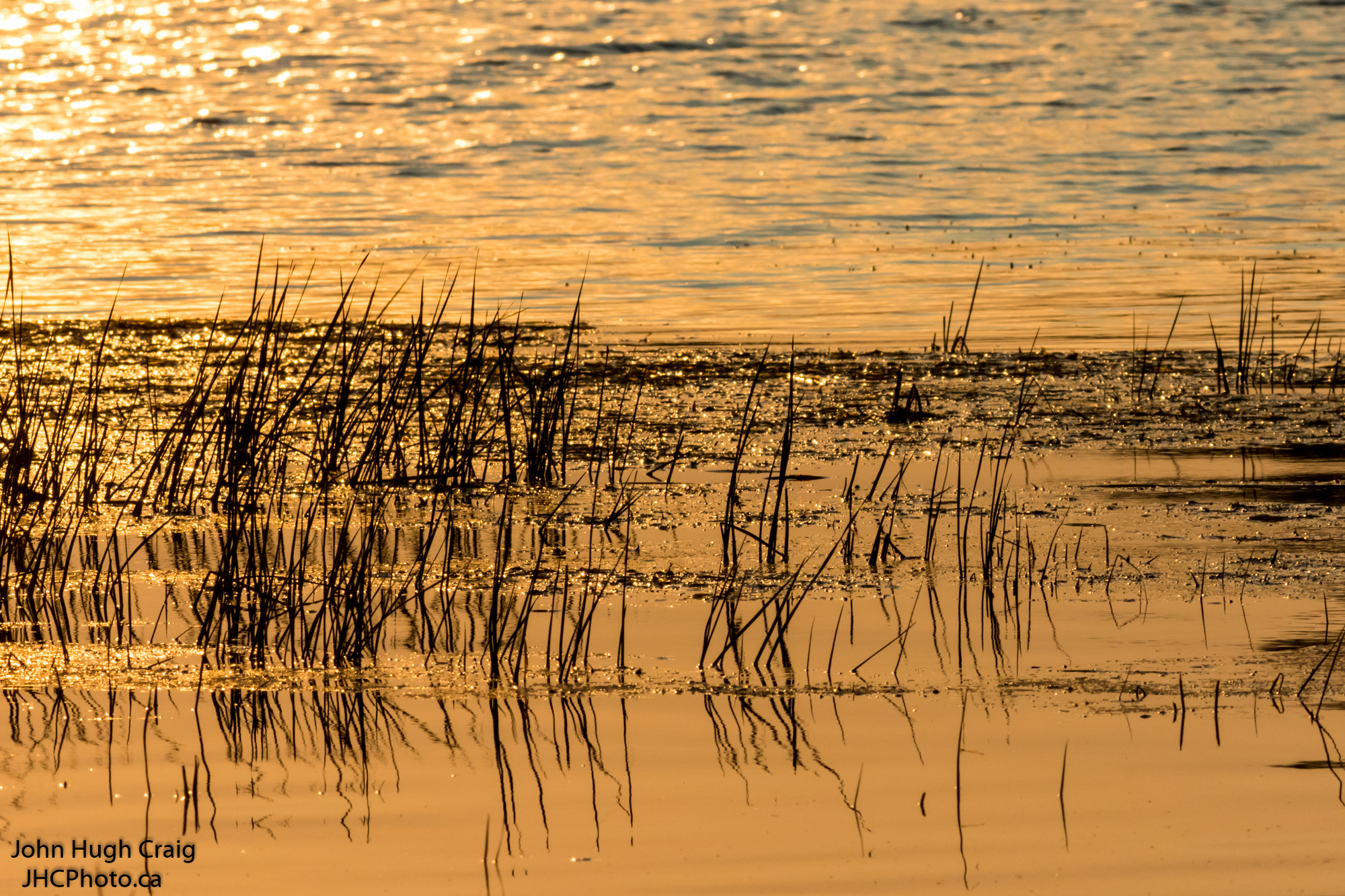 Cottage Sunset