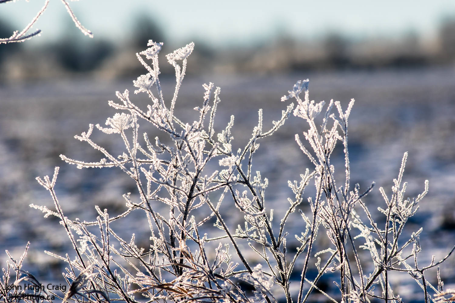 Winter Shnow & Ice