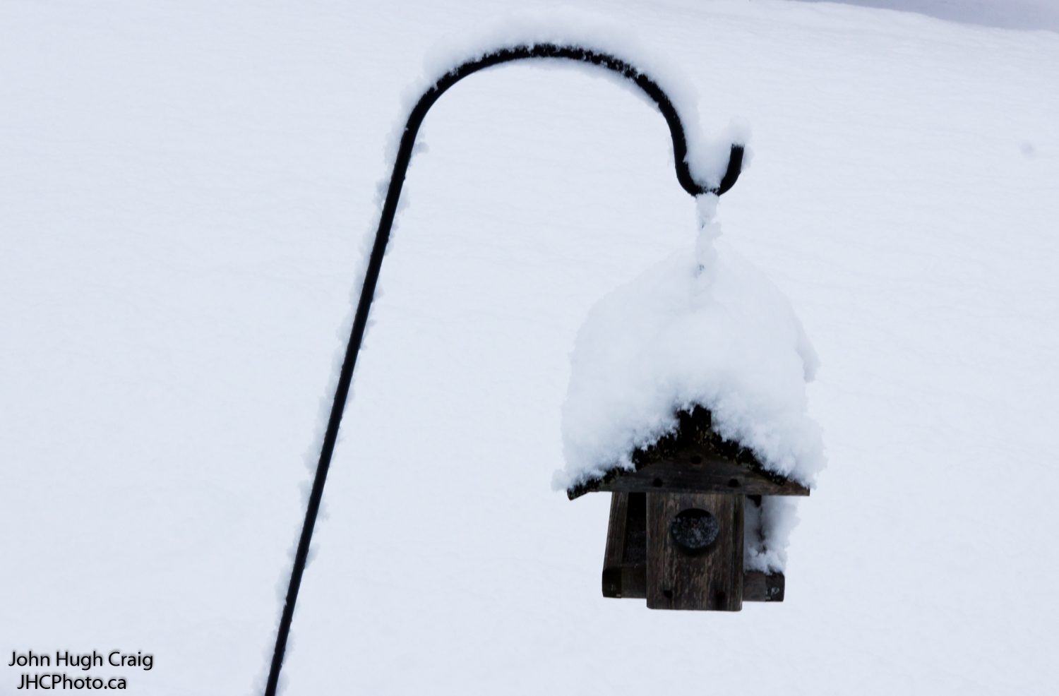 Spring Snow on the Bird Feeder